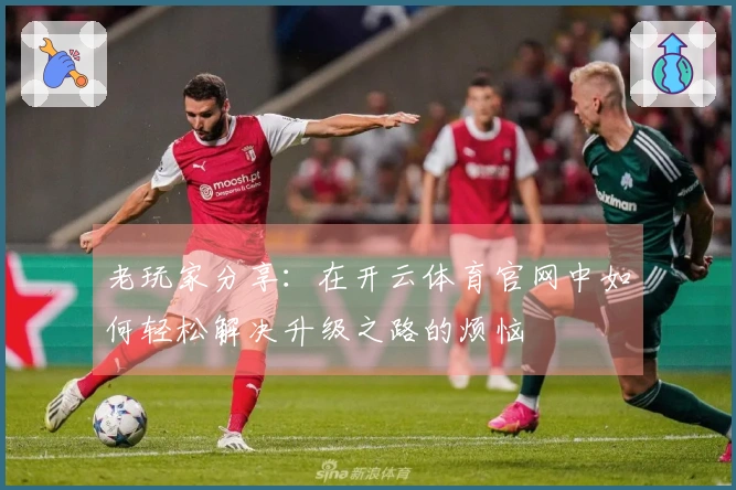 老玩家分享：在开云体育官网中如何轻松解决升级之路的烦恼